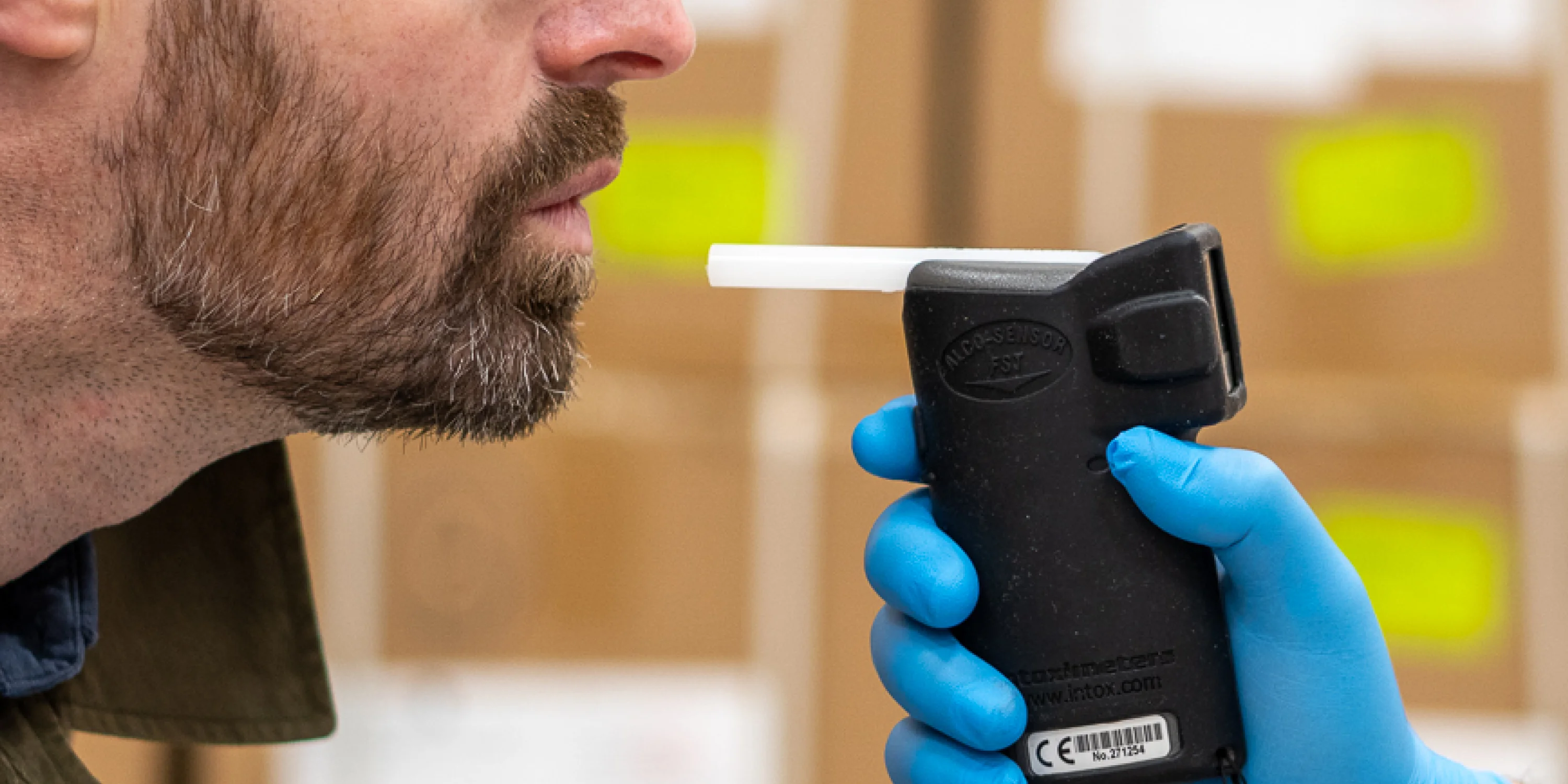 Canine Alcohol Detection: Fact Or Fiction? - 6yvodnu